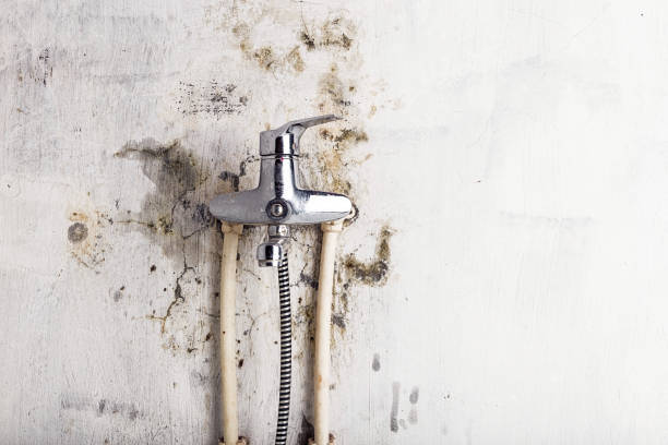 Best Residential Mold Remediation in Huntsville, MO