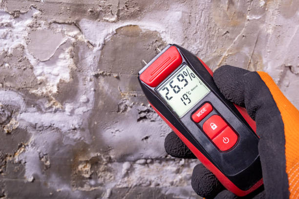 Best Mold Remediation for Specific Building Types in Huntsville, MO