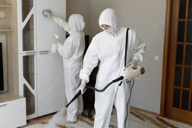 Best DIY Mold Remediation Support Services in Huntsville, MO